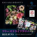 【ふるさと納税】フリーズドライフラワー BOX 「日本HANA」 東北 山形県 酒田市 庄内 LotusGarden フリーズドライ専門店 Next Level...