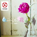 【ふるさと納税】水のいらない花 ゼロフラワー 「バラ一輪挿し」 花瓶つき 東北 山形県 酒田市 庄内 LotusGarden フリーズドライ専門店 Next L...