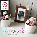【ふるさと納税】水のいらない花 ゼロフラワー 「お供え花 こころん」 1対 東北 山形県 酒田市 庄内 LotusGarden フリーズドライ専門店 Next ...