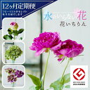 【ふるさと納税】≪12ヶ月定期便≫ 水のいらない花 ゼロフラワー定期便 「花いちりん」 お申し込み翌月下旬より12ヶ月連続お届け 東北 山形県 酒田市 庄内 L...