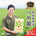 【ふるさと納税】つや姫マイスターが作った つや姫 計10kg 5kg×2袋 特別栽培米 令和5年産 山形県酒田産 ご希望時期頃お届け 米 精米 白米 お米 庄内米 ブランド米 ご飯 ごはん 東北 酒田市 庄内地方 庄内平野 農家直送 産地直送