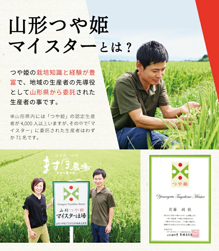 山形県酒田市の画像3