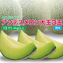 アンデスメロン 青肉 大玉3玉 計5.4kg以上 つる無し 化粧箱入 7月上旬〜7月下旬頃お届け ※着日指定不可 青肉メロン 庄内砂丘メロン 緑 夏 果物 フルーツ くだもの 旬 東北 山形県 酒田市 庄内