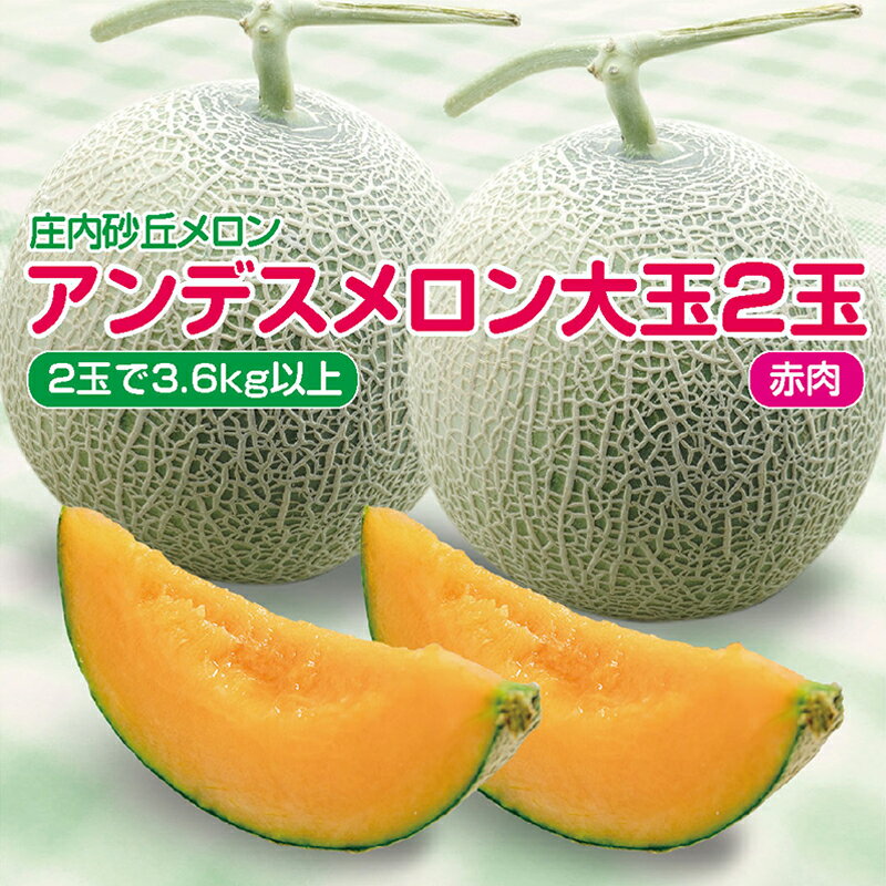 【ふるさと納税】アンデスメロン 赤肉 大玉2玉 計3.6kg