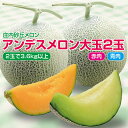 15位! 口コミ数「1件」評価「3」アンデスメロン 青肉・赤肉セット 大玉2玉 計3.6kg以上 つる付 化粧箱入 7月上旬〜7月下旬頃お届け ※着日指定不可 青肉メロン 赤肉･･･ 