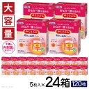 【ふるさと納税】花王 めぐりズム 蒸気の温熱シート 下着の内側面に貼るタイプ 無香料 1箱5枚入り×24箱セット 計120枚 リラックス メンテナンス 癒し 血...