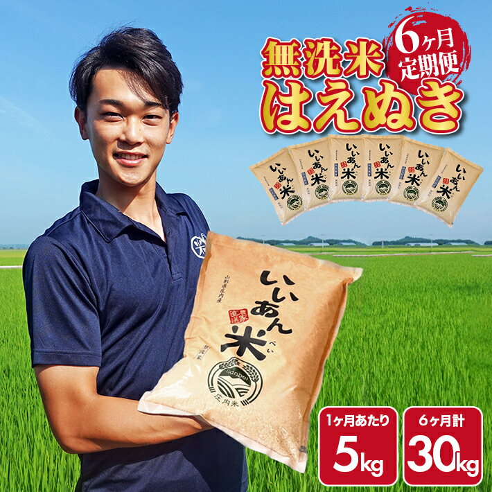 人気ランキング第39位「山形県酒田市」口コミ数「90件」評価「4.58」≪新米予約≫ ≪6ヶ月定期便≫ 無洗米 はえぬき 5kg×6ヶ月連続 計30kg 山形県庄内産 ご希望期間の毎月下旬頃お届け 産地直送 米 お米 精米 白米 庄内米 いいあん米 ブランド米 東北 酒田市 アグレスト JGAP認証農場