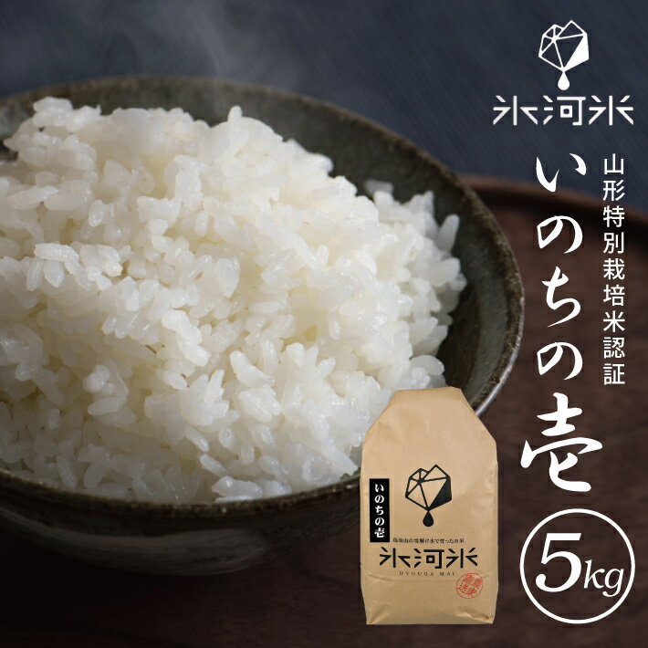 【ふるさと納税】いのちの壱 5kg×1袋 特別栽培米 氷河米