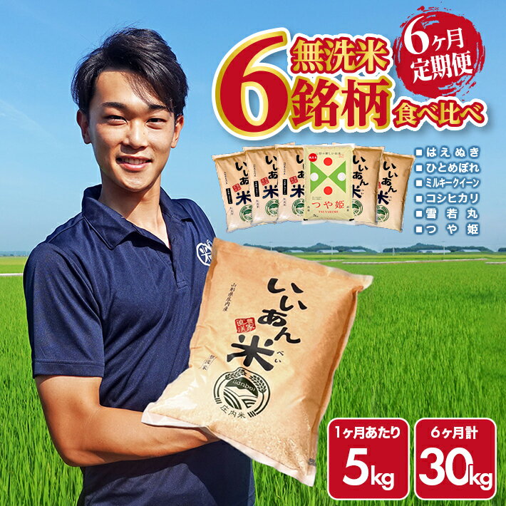 【ふるさと納税】≪6ヶ月定期便≫ 無洗米 6銘柄食べ比べ 5kg×6ヶ月連続 はえぬき ひとめぼれ ミルキークイーン コシヒカリ 雪若丸 つや姫 計30kg 山形県庄内産 ご希望期間の毎月中旬頃お届け 産地直送 米 お米 精米 白米 庄内米 ブランド米 いいあん米 味比べ 酒田市 庄内のサムネイル