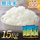 【ふるさと納税】無洗米 わしづかみ 5kg×3袋 計15kg 