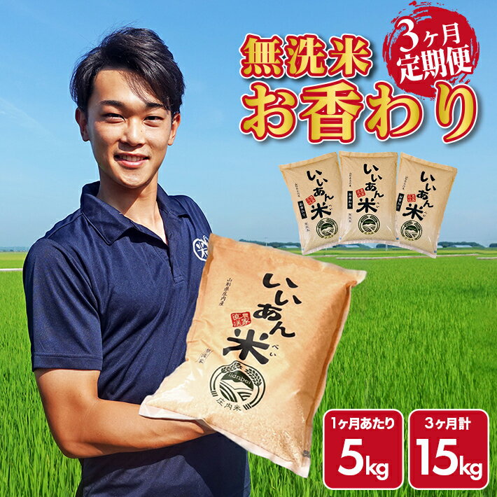 ≪3ヶ月定期便≫ 無洗米 お香わり(山形95号) 5kg×3ヶ月連続 計15kg 山形県庄内産 ご希望期間の毎月中旬頃にお届け 米 お米 精米 白米 定期便