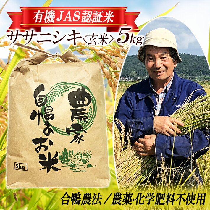 【ふるさと納税】ササニシキ 玄米 5kg 有機JAS認証米 