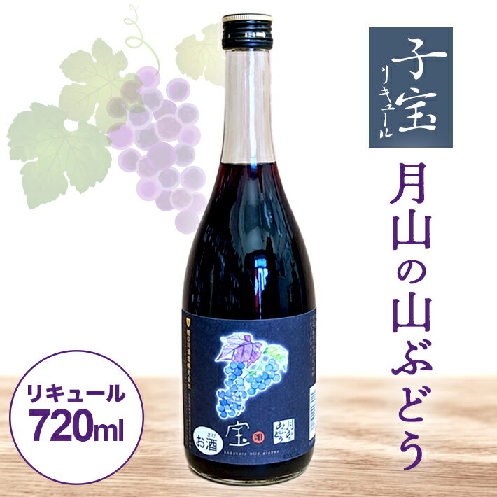 【ふるさと納税】子宝リキュール 月山の山ぶどう 720ml×