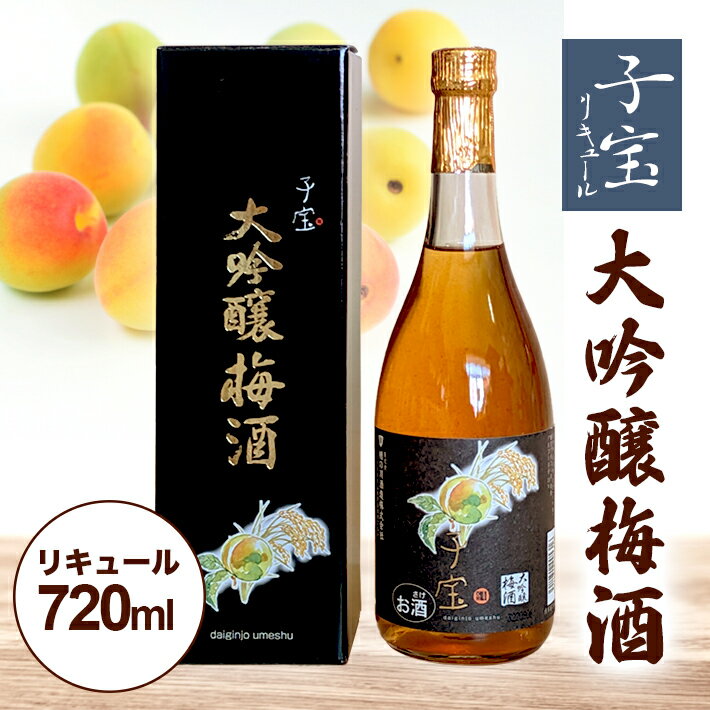 【ふるさと納税】子宝リキュール 大吟醸梅酒 720ml×1本