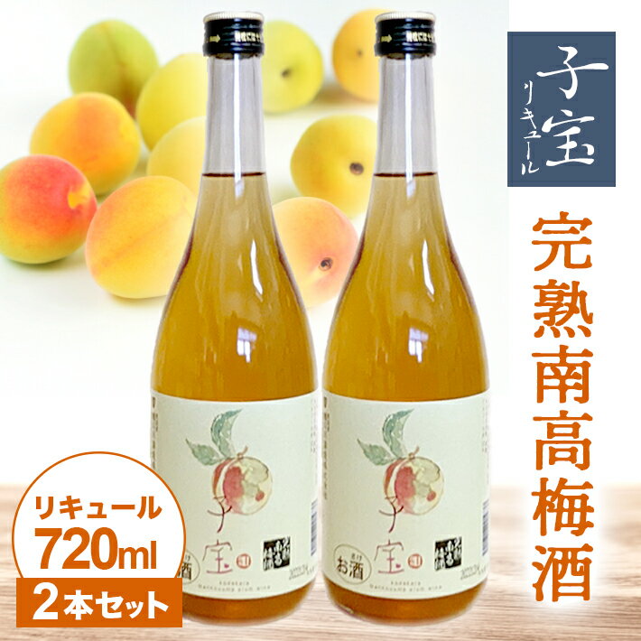 【ふるさと納税】子宝リキュール 完熟南高梅酒 720ml×2