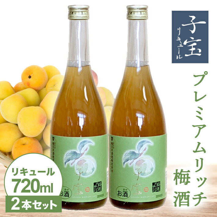 【ふるさと納税】子宝リキュール プレミアムリッチ梅酒 720ml×2本 東北 山形県 酒田市 庄内地方 子宝 フルーツ リキュール 梅 南高梅 お酒 楯の川酒造 楯野川