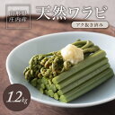 18位! 口コミ数「0件」評価「0」庄内産 天然わらび（アク抜き済み） 約1.2kg 5月上旬〜6月上旬頃お届け 冷蔵便 ※離島発送不可 山菜 東北 山形県 酒田市 庄内