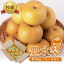 【ふるさと納税】特選 豊水梨 約3kg(6~9玉入) 山形県酒田産 9月中旬~10月上旬頃お届け ※着日指定不可 和梨 ナシ 梨 なし 豊水 東北 山形県 酒田市 庄内 秋 旬 フルーツ
