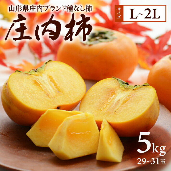 【ふるさと納税】庄内柿 平核無柿 L～2Lサイズ 29～31玉入り 約5kg 1箱 11月上旬〜11月下旬頃お届け ※着日指定不可 東北 山形県 酒田市 庄内地方 柿 カキ 種無し柿 種なし柿 佐藤農園 産地直送 果物 くだもの フルーツ 秋 冬 旬のサムネイル