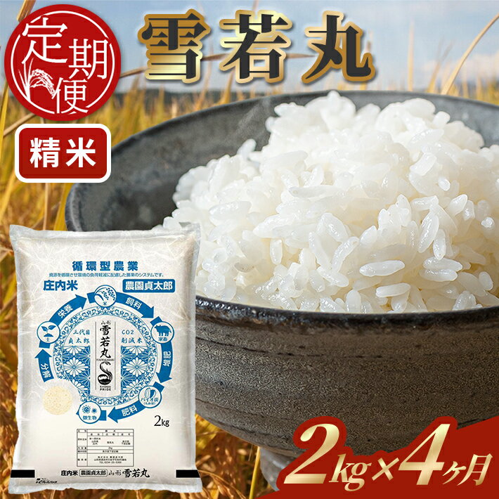 ≪4ヶ月定期便≫ 雪若丸 精米 2kg×4ヶ月連続 計8kg 令和7年産 山形県産 ご希望期間の毎月下旬にお届け 白米 庄内米 米 ごはん ご飯 一人暮らし 少人数 小分け 酒田市 庄内 山形県 東北 定期便 4回