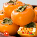 【ふるさと納税】庄内特産 種なし柿 約5kg(29玉〜36玉
