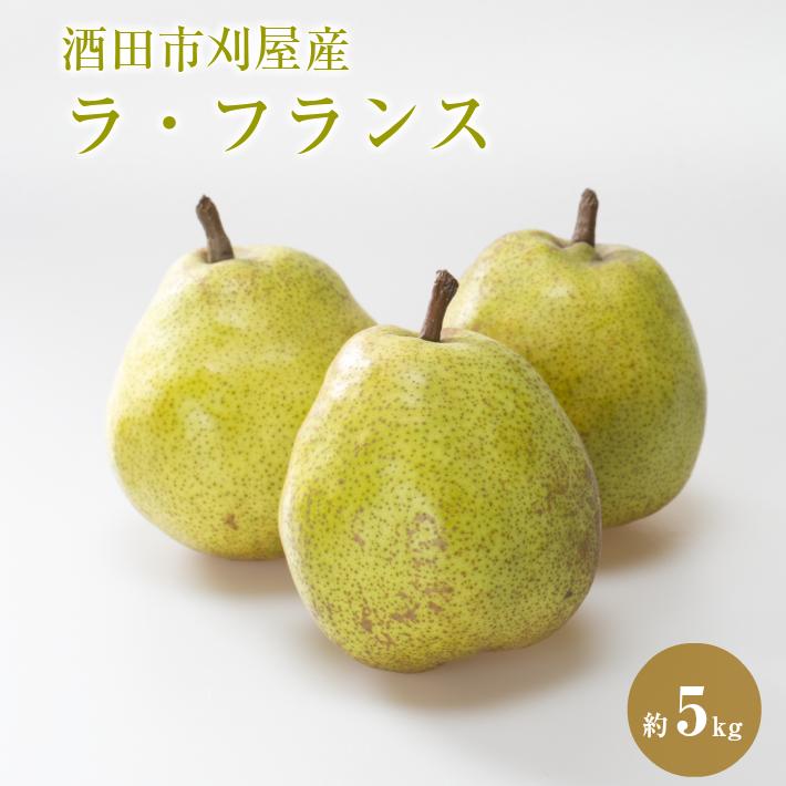 【ふるさと納税】酒田の美味しい ラ・フランス 秀品 約5kg 12～18玉 山形県酒田産 10月下旬～12月上旬...