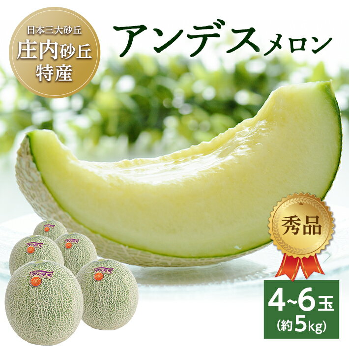 【ふるさと納税】庄内砂丘特産 アンデスメロン 秀品 4〜6玉 約5kg 6月下旬〜7月下旬頃お届け ※着日指定不可 メロン 青肉メロン 果物 く..