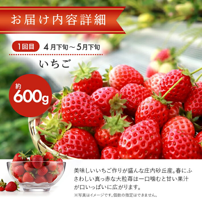 山形県酒田市の画像3