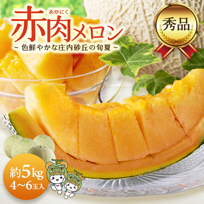 【ふるさと納税】庄内砂丘の旬夏 赤肉メロン 秀品 4〜6玉入