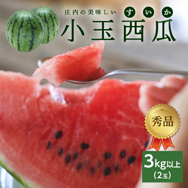 庄内の美味しい小玉西瓜 秀品 2玉 3kg以上 7月上旬〜8月中旬頃お届け ※着日指定不可 小玉 すいか スイカ 果物 くだもの フルーツ 赤 夏 旬 東北 山形県 酒田市 庄内