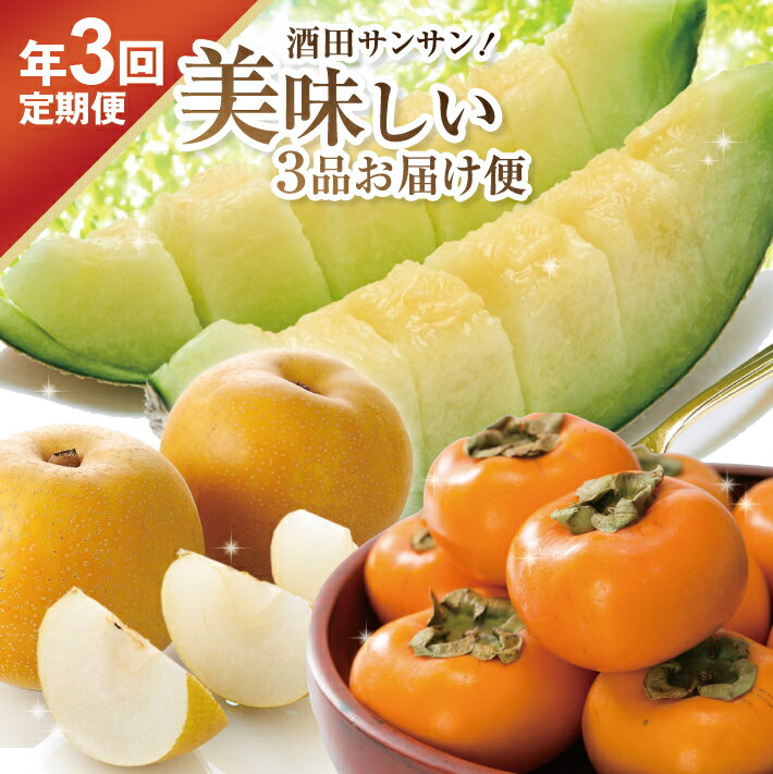 【ふるさと納税】≪3回定期便≫ 酒田サンサン！美味しい3品お届け便 6月下旬〜7月下旬:アンデスメロン 8...