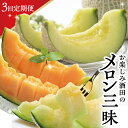 【ふるさと納税】≪3回定期便≫ お楽しみ!酒田のメロン三昧2025 6月中旬〜7月下旬:青肉メロン 7月上旬〜8月上旬:赤肉メロン 8月中旬〜9月下旬:アールス...