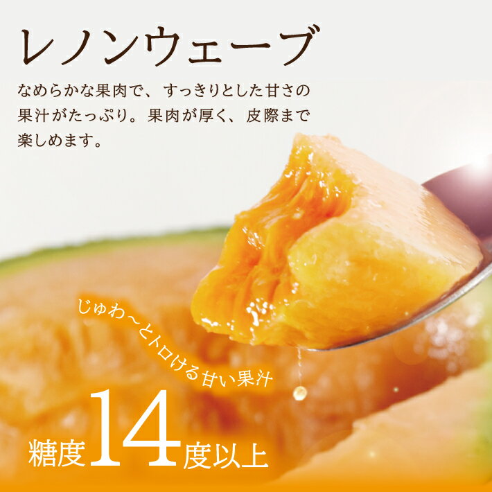 【ふるさと納税】庄内特産 赤肉メロン レノンウェーブ 約5kg 4〜5玉入り 6月下旬〜7月中旬頃お届け ※着日指定不可 赤肉メロン 果物 フルーツ 東北 山形県 酒田市 庄内 農家直送 産地直送 旬 夏