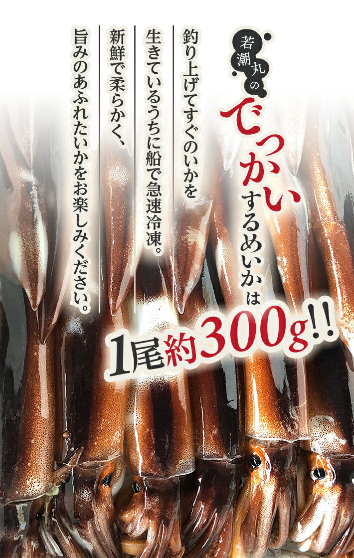 【ふるさと納税】船内凍結 若潮丸のでっかいするめいか 300g前後×6尾 冷凍便 ※離島発送不可 船凍イカ 海鮮 海産物 シーフード 新鮮 東北 山形県 酒田市 飛島 庄内 山形飛鳥