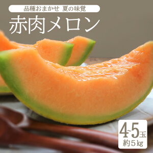 【ふるさと納税】赤肉メロン 品種おまかせ 4~5玉 約5kg 山形県酒田産 6月下旬〜7月下旬頃お届け ※着日指定不可 フルーツ 果物 夏 オレンジ 庄内砂丘 東北 山形県 酒田市