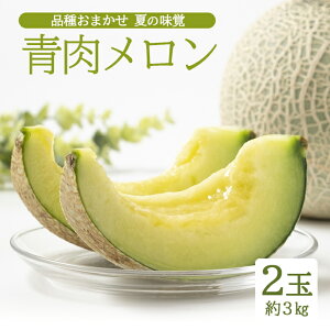 【ふるさと納税】青肉メロン 品種おまかせ 2玉 約3kg 山形県酒田産 6月下旬〜7月下旬頃お届け ※着日指定不可 青肉メロン 夏 果物 フルーツ 庄内砂丘 東北 山形県 酒田市