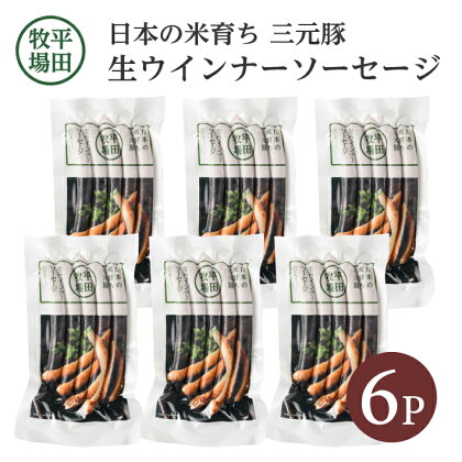 平田牧場 生ウインナーソーセージ 140g×6p 冷凍便 ※離島発送不可 ウィンナー ウインナー ソーセージ 平牧 ひらぼく ヒラボク 三元豚