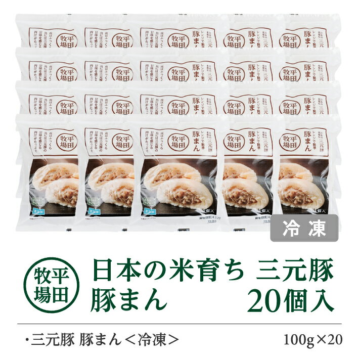 山形県酒田市の画像3