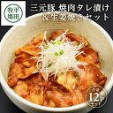 【ふるさと納税】平田牧場 日本の米育ち 三元豚 焼肉タレ漬け＆生姜焼きセット 140g×12p 計1680g 冷凍便 ※離島発送不可 平牧 ひらぼく 豚肉 バラ肉 肩ロース肉 味付き肉 小分け 焼肉用 しょうが焼き 国産 東北 山形県 酒田市 庄内