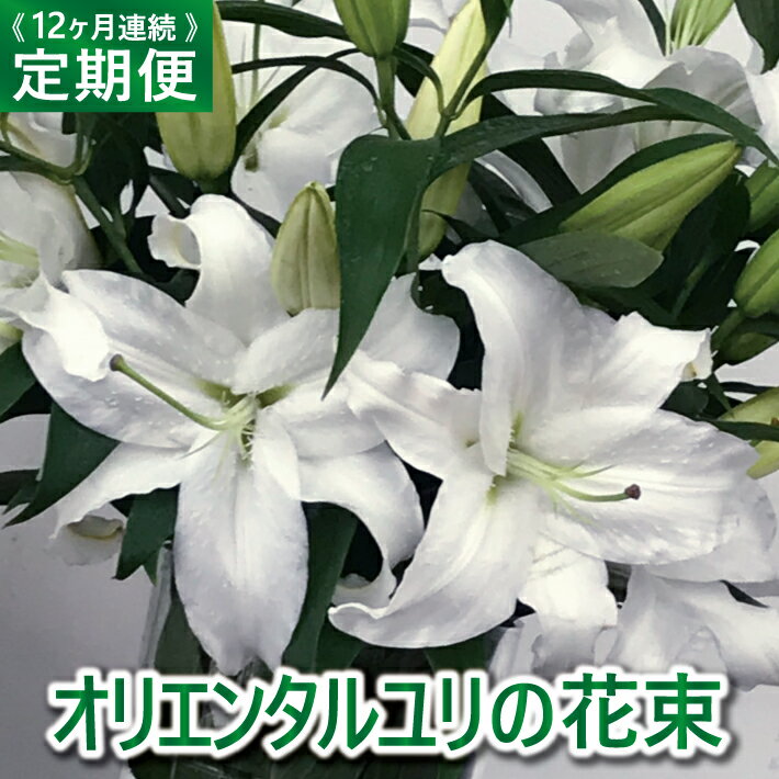 【ふるさと納税】≪12ヶ月定期便≫ オリエンタルユリの花束 お申込み翌月下旬よりお届け ※着日指定・離島発送不可 東北 山形県 酒田市 庄内地方 庄内産 花 生花 花束 切り花 オリエンタルユリ ユリ ゆり 百合 つぼみ 植物 室内 屋内 オフィス リビング 玄関 お供え