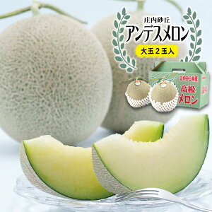 【ふるさと納税】庄内砂丘 アンデスメロン 大玉 2玉 3kg以上 7月上旬〜7月下旬頃お届け ※着日指定不可 メロン 青肉メロン 果物 フルーツ 東北 山形県 酒田市 庄内 夏