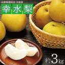 30位! 口コミ数「4件」評価「4」幸水梨 約3kg 8～9玉入 山形県酒田市刈屋産 8月下旬〜9月中旬頃お届け ※着日指定不可 なし ナシ 和梨 刈屋梨 秋 果物 フルーツ ･･･ 