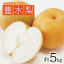 23位! 口コミ数「7件」評価「4.57」豊水梨 約5kg 10〜16玉入 山形県酒田市刈屋産 9月中旬〜10月上旬頃お届け ※着日指定不可 なし ナシ 和梨 刈屋梨 秋 果物 フル･･･ 