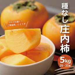 【ふるさと納税】庄内柿 約5kg 25～31玉入 種無し柿 10月下旬〜11月下旬頃お届け ※着日指定不可 秋 カキ かき 平核無柿 果物 フルーツ 東北 山形県 酒田市 庄内