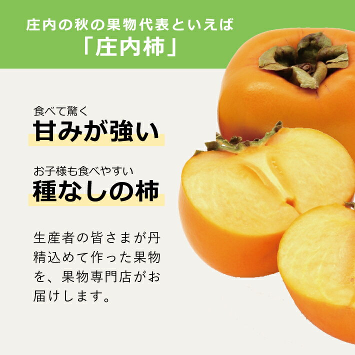 【ふるさと納税】庄内柿 約5kg 25～31玉入 種無し柿 10月下旬〜11月下旬頃お届け ※着日指定不可 秋 カキ かき 平核無柿 果物 フルーツ 東北 山形県 酒田市 庄内