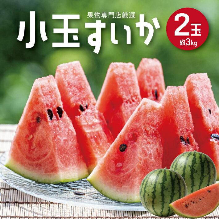 12位! 口コミ数「0件」評価「0」小玉すいか 約3kg 2玉 山形県庄内産 7月上旬〜8月上旬頃お届け ※着日指定不可 スイカ 西瓜 小玉 果物 くだもの フルーツ 東北 山･･･ 