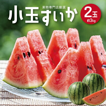 小玉すいか 約3kg 2玉 山形県庄内産 7月上旬〜8月上旬頃お届け ※着日指定不可 スイカ 西瓜 小玉 果物 くだもの フルーツ 東北 山形県 庄内 夏 赤