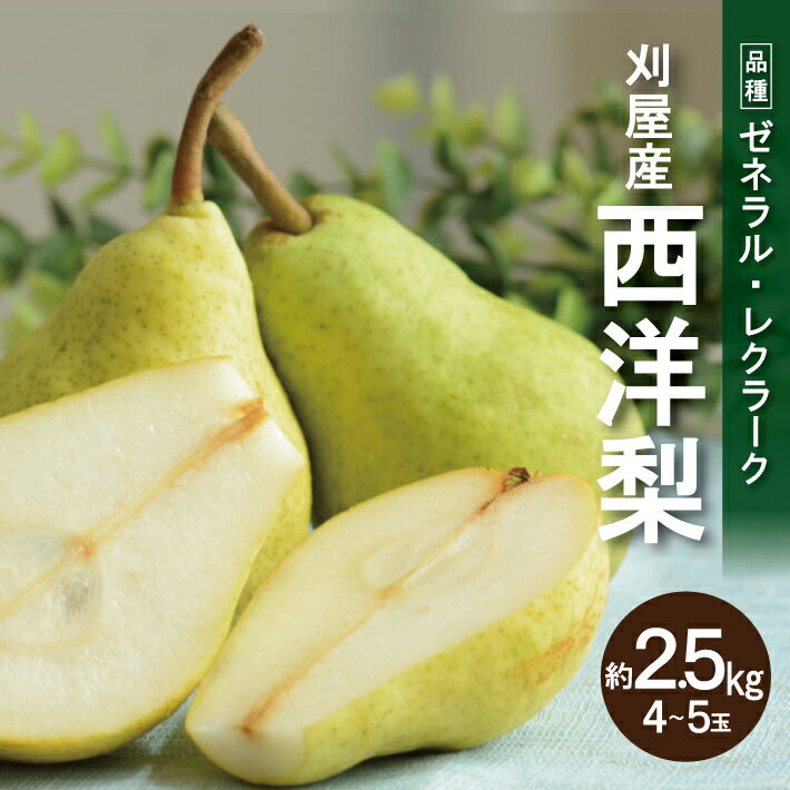 【ふるさと納税】刈屋産 西洋梨 ゼネラル・レクラーク 大玉 約2.5kg 4玉～5玉入 10月上旬〜10月中旬頃お届け ※着日指定不可 洋梨 洋ナシ 洋なし 果物 フルーツ 東北 山形県 酒田市 庄内 秋