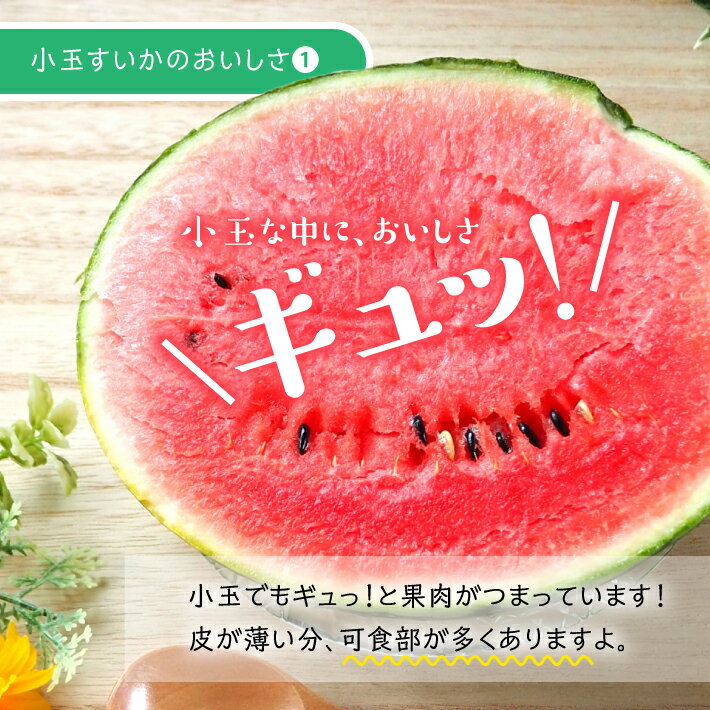 【ふるさと納税】小玉すいか 約3kg 2玉 山形県庄内産 7月上旬〜8月上旬頃お届け ※着日指定不可 スイカ 西瓜 小玉 果物 くだもの フルーツ 東北 山形県 庄内 夏 赤