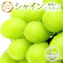 【ふるさと納税】農家直送 シャインマスカット 4~5房 2kg以上 山形県酒田産 9月下旬~10月下旬頃お届け 冷蔵便 ※離島発送・着日指定不可 種無し 葡萄 ぶどう 果物 くだもの フルーツ 期間限定 東北 酒田市 庄内 旬 秋
